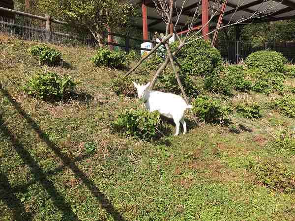 Ninja400 2018年 2018 EX400G インプレ ブログ